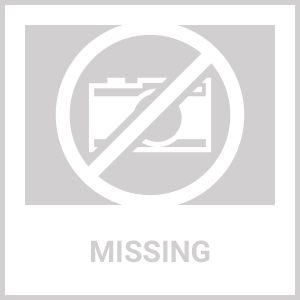 12" Double Hummingbird Printed Wind Spinners, Decorative Wind Spinners