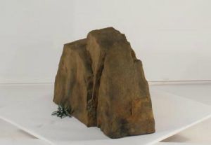 Cool Accent Rocks for Backyard, Garden, Patio and Swimming Pool Landscapes