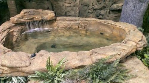 Medium Backyard Waterfall Cave - Cascading & Custom Fountains